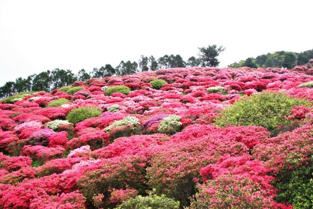 春の雨は 恵みの雨 穀雨 二十四節気 リノベ不動産 オノコムリビングワークス